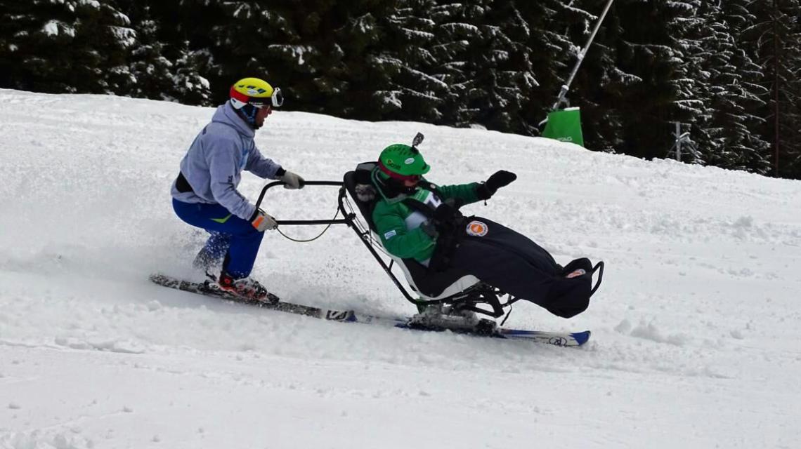 Ansicht Dualski