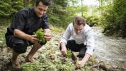 Frische Kräuter werden direkt an der Leitzach gesammelt